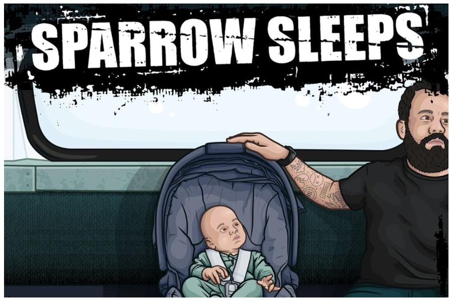 simple plan sparrow sleep