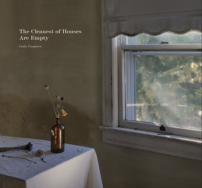 Carly Cosgrove The Cleanest of Houses Are Empty Album Artwork