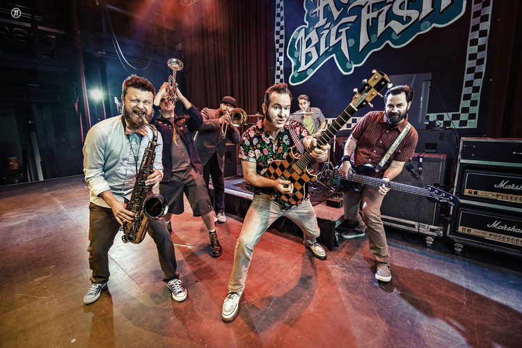 Sell Out by Reel Big Fish (Single, Ska Punk): Reviews, Ratings